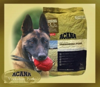 Acana Yorkshire Pork 2kg