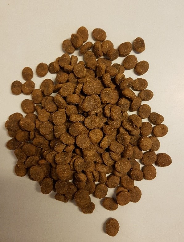 Hunde - und Katzenfutter der Extraklasse - Arion,EPEuro Premium ,  Barbe,KlHundefutter ein Wanzleben,