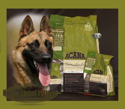 Acana Grasslands Dog 2kg