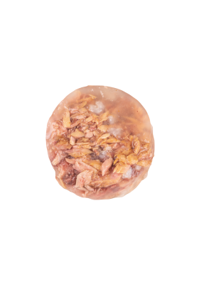 Voskes Jelly Wetfood Thunfisch mit Meerbrasse 85g