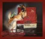 Acana Sport 17kg